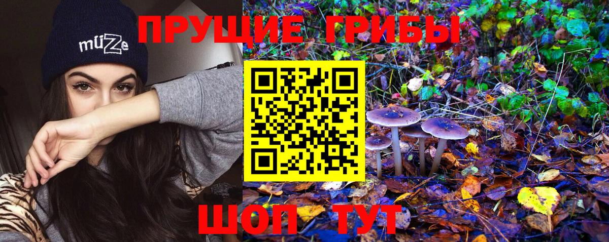 Асбест  Псилоцибиновые грибы ЛСД  Галлюциногенные грибы MAGIC MUSHROOMS  закладки  Вход с VPN 